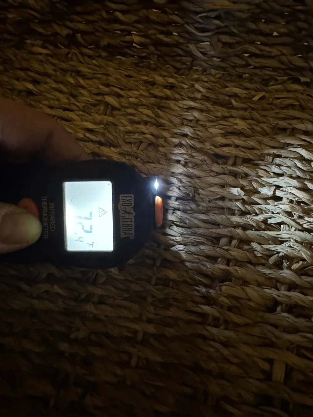 Black Infrared Thermometer for Reptile Heating